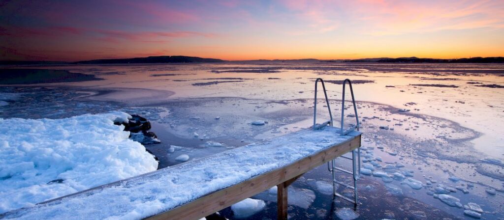 Cold Therapy: Enhancing Resilience and Vitality in the Self Matrix | Andreas Tsiartas