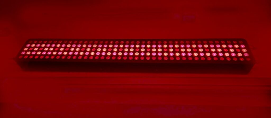 Infrared Light Therapy: Harnessing Light for Regeneration in the CORE Compass Framework | Andreas Tsiartas Infrared Light Therapy: Harnessing Light for Regeneration in the CORE Compass Framework | Andreas Tsiartas