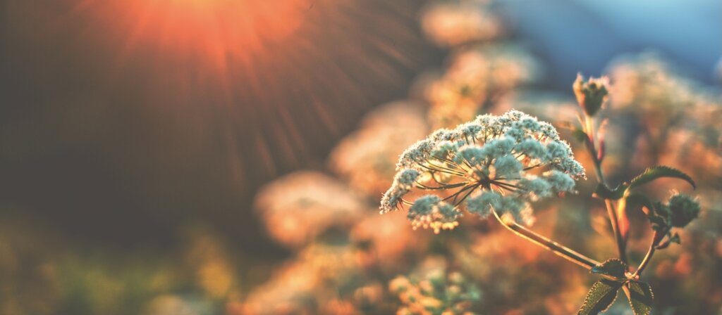 Threads of the Human Spirit by Andreas Tsiartas | Andreas Tsiartas